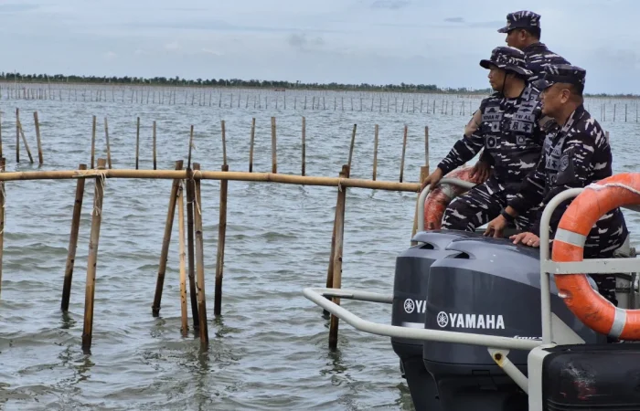 Pembongkaran Pagar Laut oleh Marinir TNI AL Bisa Berujung Pidana, LBH Jakarta Beri Penjelasan