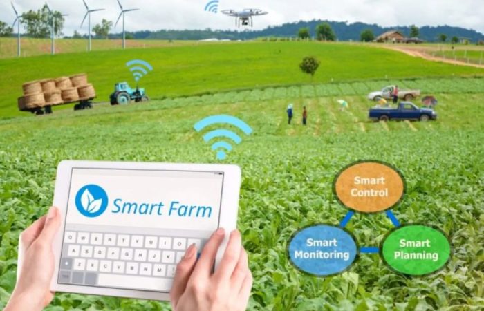 Inovasi IoT Ubah Sistem Pertanian di Desa: Revolusi Digital di Ladang Hijau
